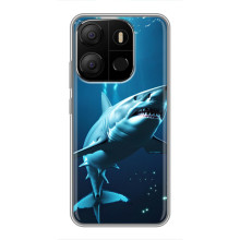 Чехол с картинкой «Хищники» для Tecno Pop 7 Pro – Акула