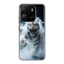 Чехол с картинкой «Хищники» для Tecno Pop 7 Pro – Тигр