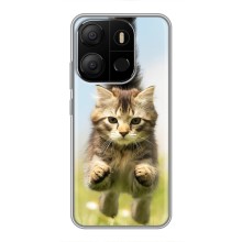Чехлы с Котиками для Tecno Pop 7 (VPrint) (Прыжок кота)