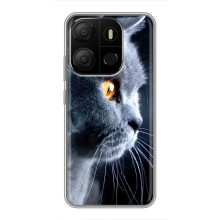 Чехлы с Котиками для Tecno Pop 7 (VPrint) (Серый Кот)