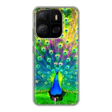 Чехол с птицами на Tecno Pop 7 (VPrint) (Яркий Павлин)