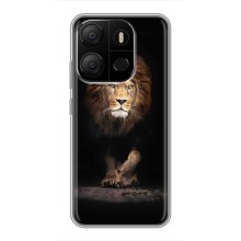 Чехол со Львом для Tecno Pop 7 (VPrint) (Лев)