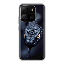 Чехол с картинкой «Хищники» для Tecno Pop 7 – Змея