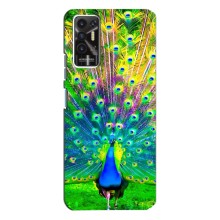 Чехол с птицами на TECNO Pova-2 (LE7n) (VPrint) (Яркий Павлин)