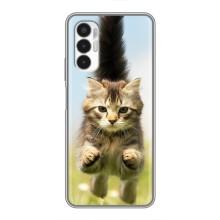 Чехлы с Котиками для Tecno POVA 3 (LF7n) (VPrint) (Прыжок кота)