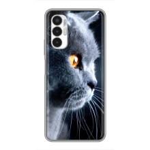 Чехлы с Котиками для Tecno POVA 3 (LF7n) (VPrint) (Серый Кот)