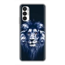 Чехол со Львом для Tecno POVA 3 (LF7n) (VPrint)