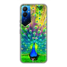 Чехол с птицами на Tecno POVA 4 (LG7n) (VPrint) (Яркий Павлин)