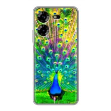 Чехол с птицами на Tecno POVA 5 (LG7n) (VPrint) (Яркий Павлин)