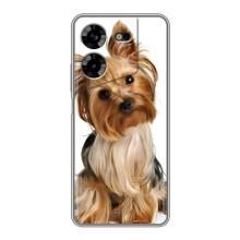 Чохол (ТПУ) Милі песики для Tecno POVA 5 (LG7n) (Пес Терьєр)