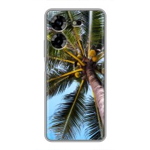 Силиконовый чехол с КАРТИНКАМИ лето для Tecno POVA 5 (LG7n) (AlphaPrint) (Пальма)