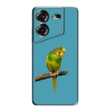 Силиконовый чехол с птичкой на Tecno POVA 5 (LG7n) (Попугайчик)