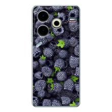 Чехлы с Фруктами для Tecno Pova 6 Neo 5G (VPrint) (Ежевика)
