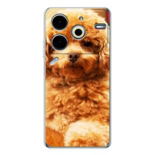 Чехлы с собаками для Tecno Pova 6 Neo 5G (VPrint) (Щенок Бишон)