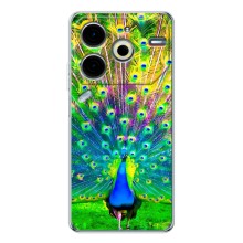 Чехол с птицами на Tecno Pova 6 Neo 5G (VPrint) (Яркий Павлин)