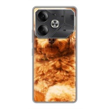 Чехлы с собаками для Tecno Pova 6 (VPrint) (Щенок Бишон)