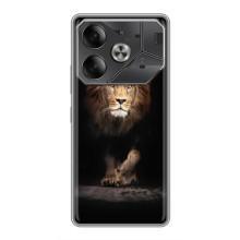 Чохол з картинкою на Tecno Pova 6 – Гарний Лев