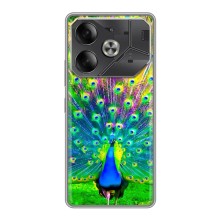 Чехол с птицами на Tecno Pova 6 (VPrint) (Яркий Павлин)