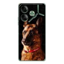 Чехлы с картинками животных Tecno Pova 7 – Овчарка