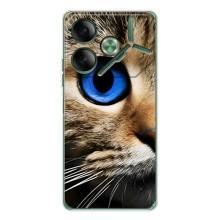 Чохли з Котиками для Tecno Pova 7 (VPrint)