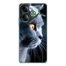 Чехлы с Котиками для Tecno Pova 7 (VPrint) – Серый Кот
