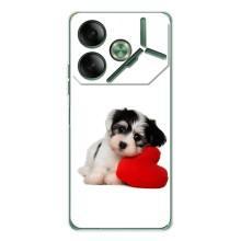 Чехлы с собаками для Tecno Pova 7 (VPrint)