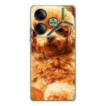 Чехлы с собаками для Tecno Pova 7 (VPrint)