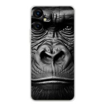 Чехлы с Горилой на Текно Пова Нео 3 – Черная обезьяна