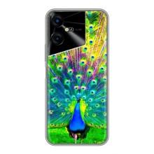 Чехол с птицами на Tecno POVA Neo 3 (VPrint)