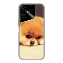 Чехол (ТПУ) Милые собачки для Tecno POVA Neo 3 – Померанский шпиц