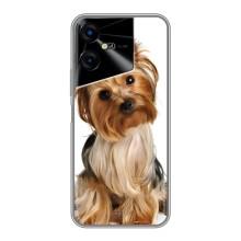 Чехол (ТПУ) Милые собачки для Tecno POVA Neo 3 – Собака Терьер