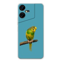 Силіконовий бампер з птичкою на Tecno POVA Neo 3 – Попугайчик