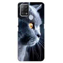 Чехлы с Котиками для Tecno Pova (VPrint) (Серый Кот)