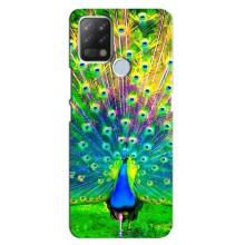Чехол с птицами на Tecno Pova (VPrint) (Яркий Павлин)