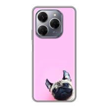 Бампер для TECNO Spark 20 Pro с картинкой "Песики" – Собака на розовом