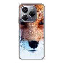 Чехол с Лисичкой для TECNO Spark 20 Pro – Рыжая Лисичка