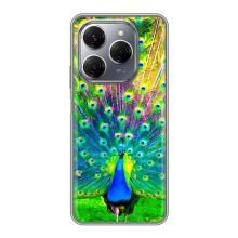 Чохол з пташками на TECNO Spark 20 Pro (VPrint) (Яскравий Павлин)