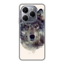Чохол з Вовком на TECNO Spark 20 Pro – Вовк