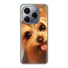 Чохол (ТПУ) Милі песики для TECNO Spark 20 Pro – Йоркширський тер'єр