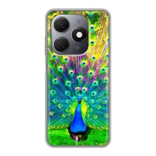 Чехол с птицами на TECNO Spark 20 (VPrint) (Яркий Павлин)