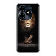 Чехол с картинкой на TECNO Spark 20c – Красивый Лев