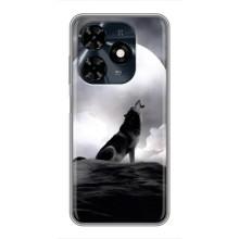 Чехол с Волком на TECNO Spark 20c – Волк и луна