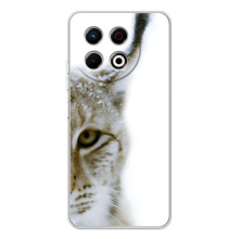Чохли з картинкою животних TECNO Spark 30 Pro (Рись)