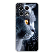 Чехлы с Котиками для TECNO Spark 30 Pro (VPrint) (Серый Кот)