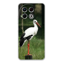 Силиконовый чехол с птичкой на TECNO Spark 30 Pro