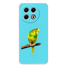 Силиконовый чехол с птичкой на TECNO Spark 30 Pro – Попугайчик