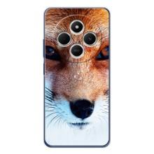 Чехол с Лисичкой для Tecno Spark 30C – Рыжая Лисичка