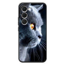 Чехлы с Котиками для Tecno Spark 40 Pro Plus (VPrint) (Серый Кот)