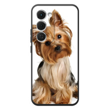 Чохол (ТПУ) Милі песики для Tecno Spark 40 Pro Plus – Пес Терьєр