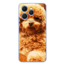 Чехлы с собаками для Tecno Spark 40 (VPrint) – Щенок Бишон